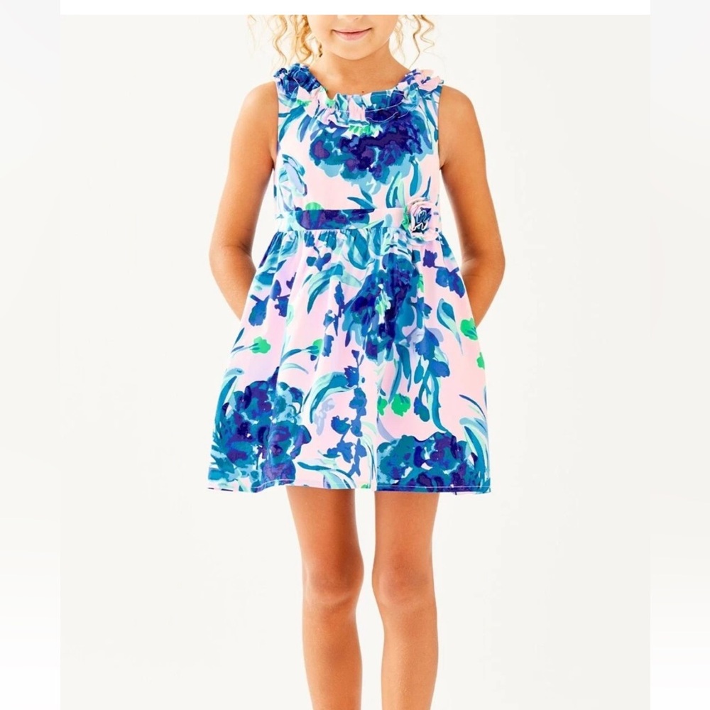 Lilly Pulitzer Girls Georgina Dress Size 3 Pink with blue flowers